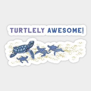 Turtlely Awesome ! Sticker